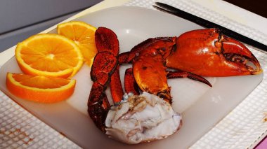 Avustralya dev Çamur yengeç (Scylla serrata). Olarak da bilinen mangrov ve tırtıklı Crab.Freshly yakaladı ve yemek masası üzerinde yengeç pişirilir. Queensland, Avustralya.