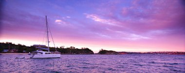 Pitoresk lavanta renkli bulutlu gündoğumu deniz deniz suyu su yansımaları ile üzerinden. Quaranteen Beach, North Sydney Harbour, Yeni Güney Galler, Avustralya.