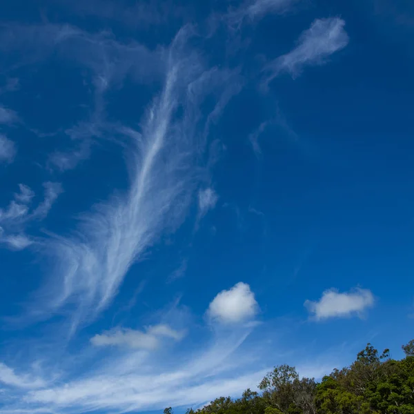 半ば青空の巻雲の雲の形成を特徴壮大な心に強く訴える鮮やかな色大気曇り空 Cloudscape ニュー サウス ウェールズ オーストラリア — ストック写真