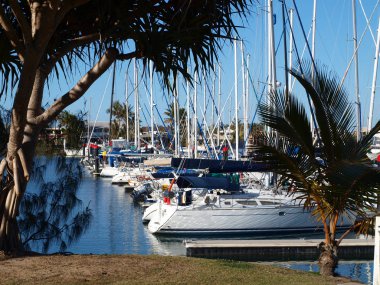  Tropikal marina sahnesi. Mooloolaba.