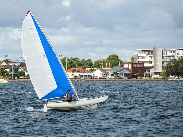 Pojke segling liten katamaran i hastighet med levande blått och vitt s — Stockfoto