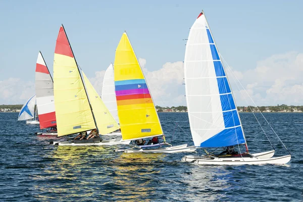 Children close sailing, racing catamarans with brightly coloured — Stock Photo, Image