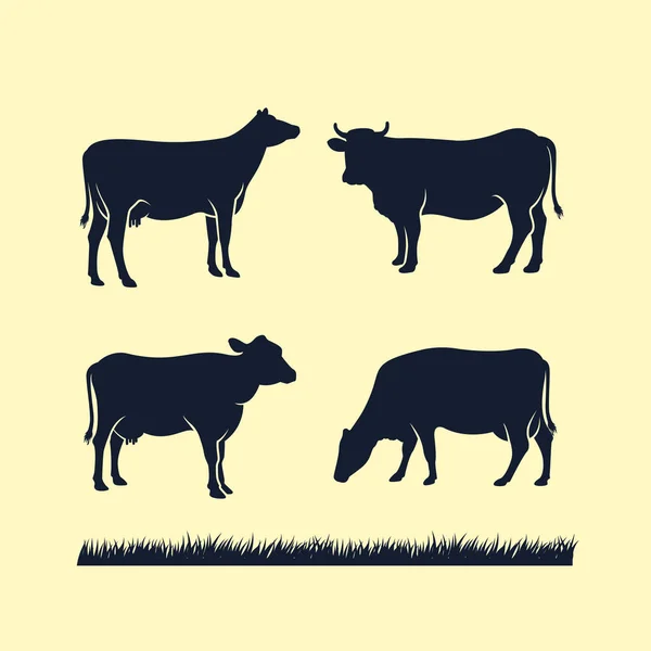 牛のシルエットのベクター アイコン ブラック アンガスのベクトル図です 牛ファーム ロゴデザイン — ストックベクタ
