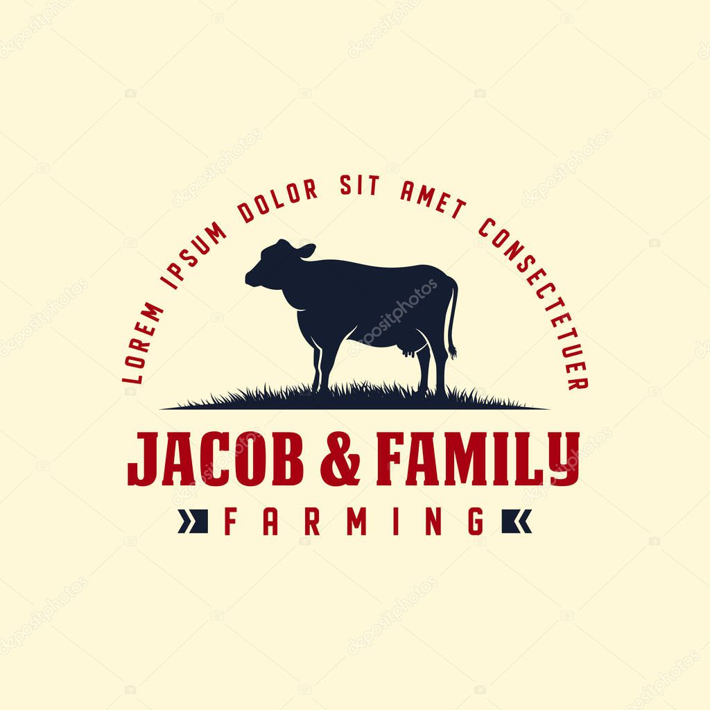Black angus logo design template. cow farm logo design. cow vector illustration