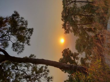 Dusk harika görünümü