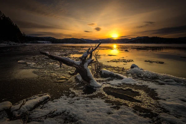 Gelando Costas Lago Jonsvatnet Perto Trondheim Primeira Neve Tempo Inverno — Fotografia de Stock