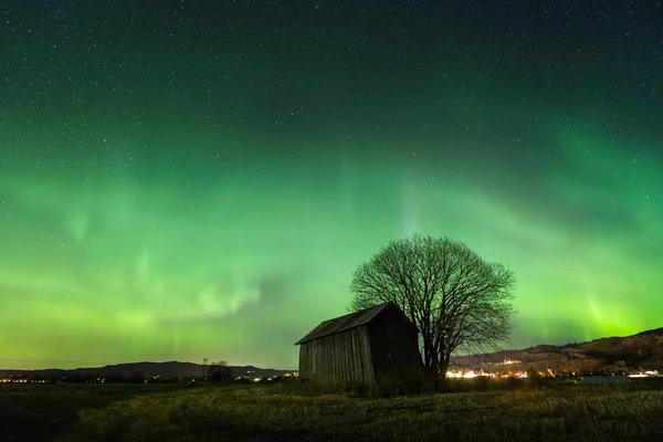 Norveç Selbu Alanında Görülen Yukarıda Gökyüzü Kuzey Işıkları Ağaç Görünümü — Stok fotoğraf