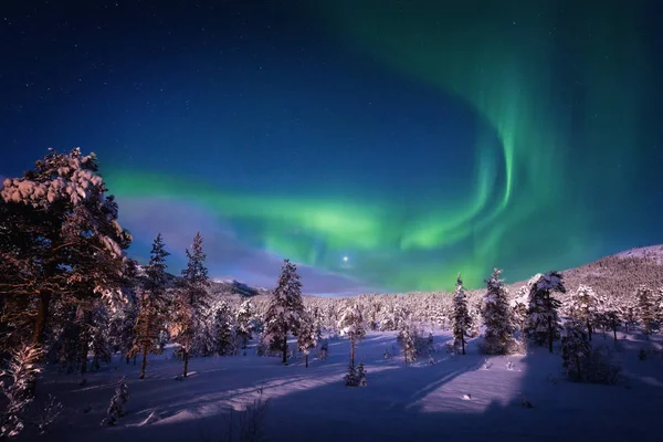 Kış orman yukarıda gökyüzü ışıkları Aurora.