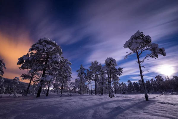 Volle Maan Licht Besneeuwde Bos Heia Grong Gebied Noord Noorwegen — Stockfoto