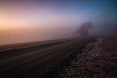 Sisli akşam ve yürüyüş alanları Ranheim, Norveç tarafından. Soğuk ve nemli hava.