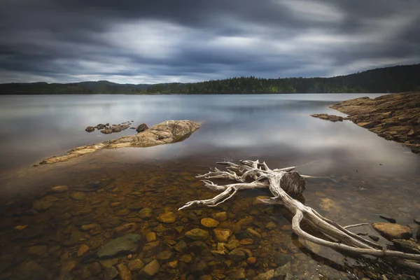 Dalgaların Karaya Attığı Odun Foldsjoen Norveçli Dağ Orman Kıyısında — Stok fotoğraf