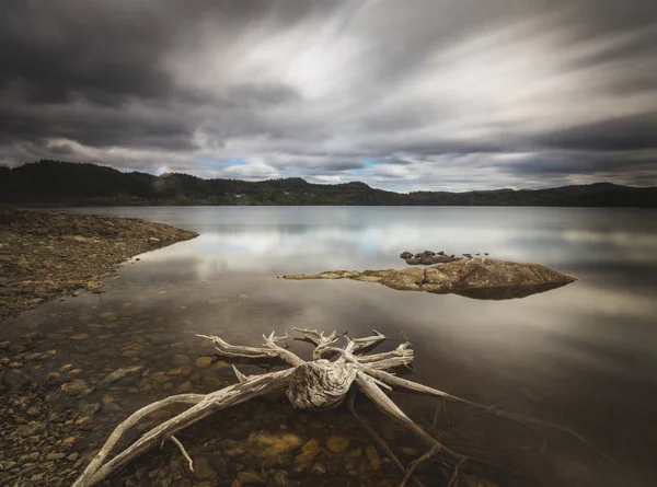 Dalgaların Karaya Attığı Odun Foldsjoen Norveçli Dağ Orman Kıyısında — Stok fotoğraf
