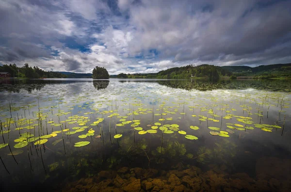 Paisagem Início Verão Lago Jonsvatnet Perto Trondheim Noruega — Fotografia de Stock