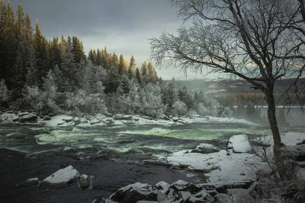 Cenário Inverno Rio Tannforsen Lado Maior Cachoeira Sueca — Fotografia de Stock