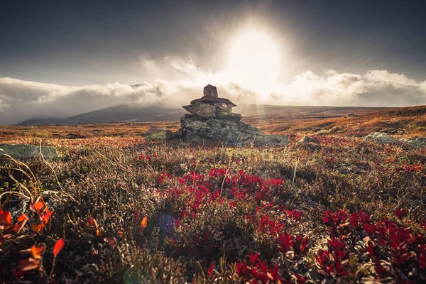 Sonbahar dağlarda. Norveç, Rock sebep Sylan. Doğal manzara ve doymuş sonbahar renkleri.