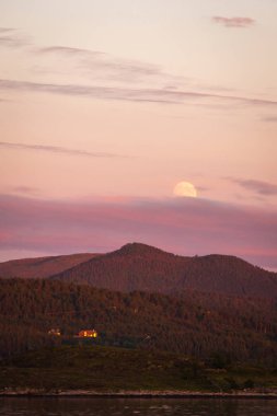 Foldsjoen göl kıyısında kuru, Norveç orta. Fantastik şekilleri eski sahilde kökleri.