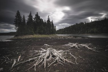 Foldsjoen göl kıyısında kuru, Norveç orta. Fantastik şekilleri eski sahilde kökleri.