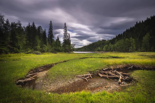 Bela Área Lago Foldsjoen Perto Hommelvik Lago Boreal Florestas Rios — Fotografia de Stock