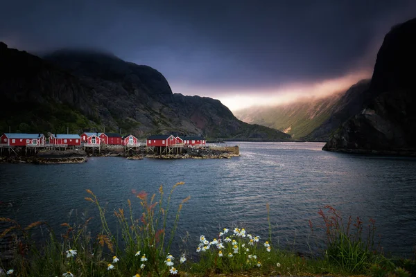 Καλοκαιρινό Βράδυ Στο Χωριό Μικρό Fishong Nusfjord Στα Νησιά Lofoten — Φωτογραφία Αρχείου