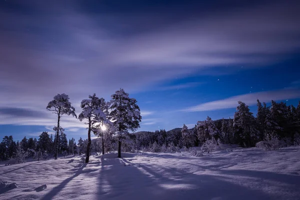 Natt i den snöiga skogen. Norska vintertid. — Stockfoto