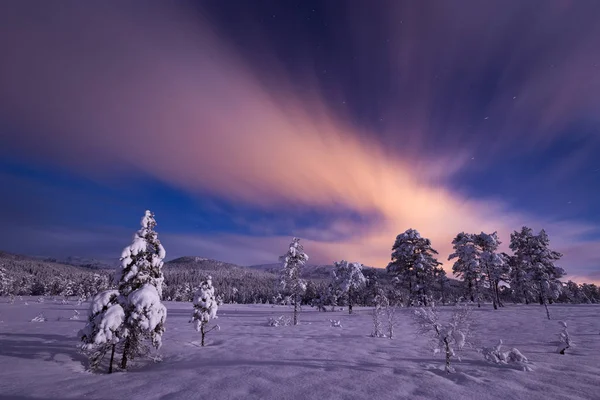 Gece karlı ormanın içinde. Norveç kış. — Stok fotoğraf
