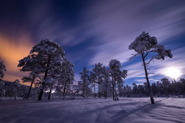 Natt i den snöiga skogen. Norska vintertid. — Stockfoto