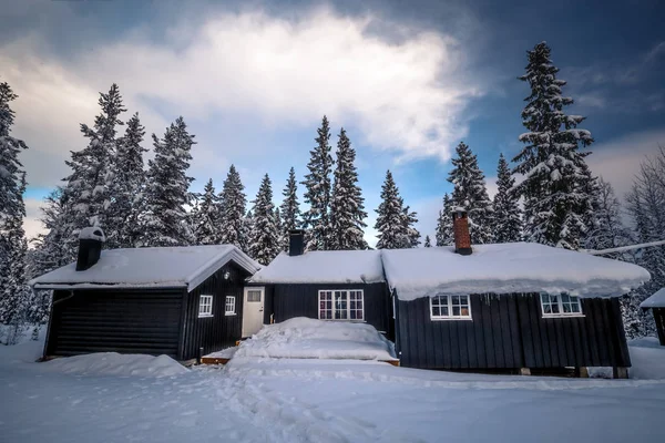 Orman karlı woodland İskandinav kulübede. Norveç'te kış.
