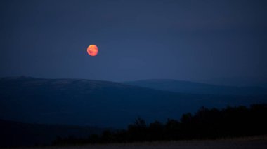 Yaz beyaz gece ve sisli yatay, dolunay Nordgruvefeltet araştırma alanında orta Norveç'te. Sihirli ruh geç yaz gecesi.