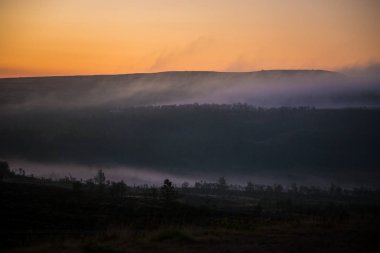Sisli beyaz gece Nordgruvefeltet, orta Norveç alanında. Boreal çam ormanı.