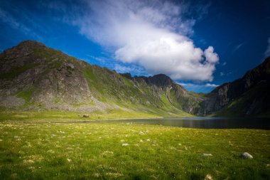 Eggum alan Lofoten Adaları'nın güzel manzara. Norveç'te yaz.