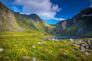 Eggum alan Lofoten Adaları'nın güzel manzara. Norveç'te yaz.