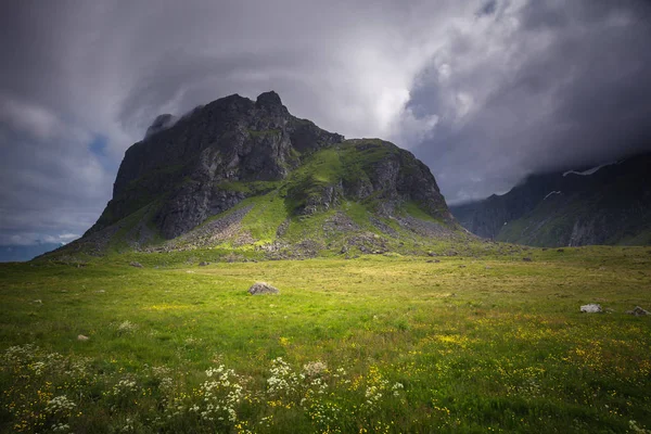 Wunderschöne Landschaft Des Eierbereichs Auf Den Erhabenen Inseln Sommerzeit Norwegen — Stockfoto