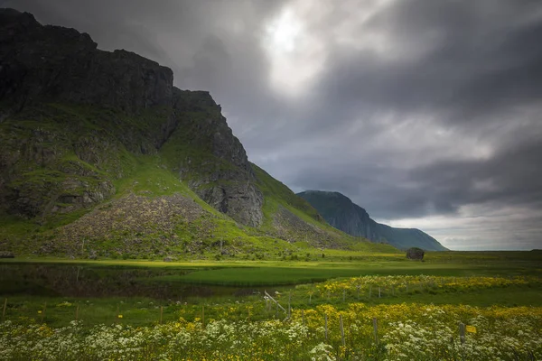 Wunderschöne Landschaft Des Eierbereichs Auf Den Erhabenen Inseln Sommerzeit Norwegen — Stockfoto