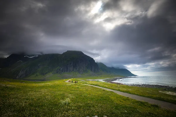 Wunderschöne Landschaft Des Eierbereichs Auf Den Erhabenen Inseln Sommerzeit Norwegen — Stockfoto