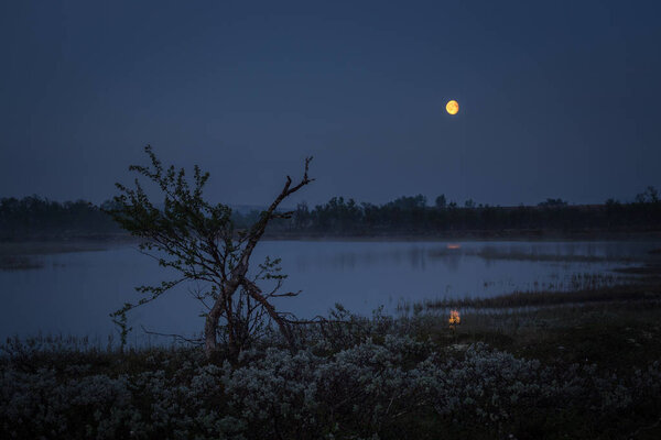 Летняя белая ночь и туманный пейзаж с полнолунием в горнодобывающем районе Грюфефельте в центральной Норвегии. Волшебное настроение поздней летней ночи
.
