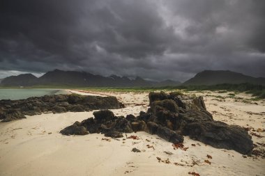 Sandbotnen Fredvang, Lofoten Adası, Norveç defne. Norveç yaz tatili.