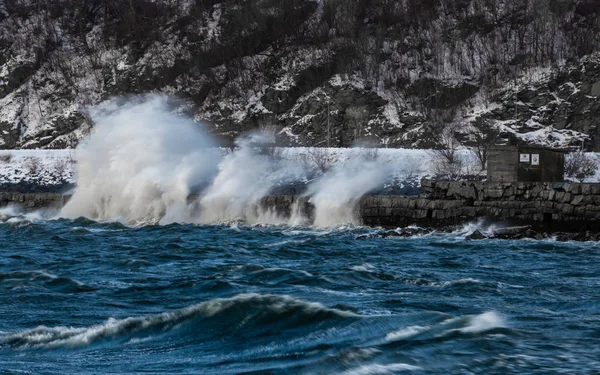 Tormenta Invierno Sobre Trondheimsfjorden Rompiendo Olas Orilla —  Fotos de Stock