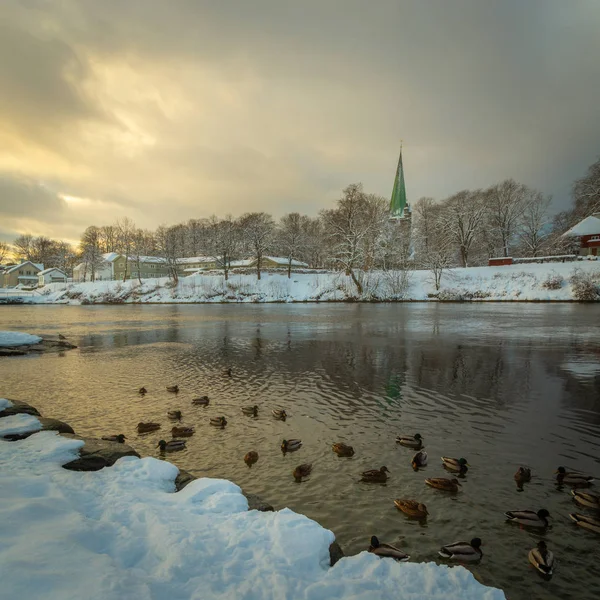 Nidarosdomen Kathedrale Fluss Nidelva Trondheim Schöne Winterzeit Berühmteste Gotische Norwegische — Stockfoto