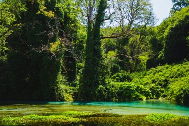 Mavi göz, Arnavutluk turistik cazibe. Saf suları ve kristal berraklığında nehir güzel, yeşil bitki örtüsü ile çevrili.