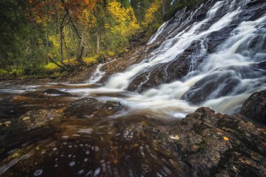 Şelalenin Sagelva Nehri yakınında Trondheim alan gölde Jonsvatnet. Boreal Ormanı'nın sonbahar sahne.