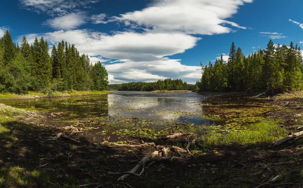 Lake Foldsjoen Shores Summer Time Norway Beautiful Boreal Forest Lake — Stock Photo, Image