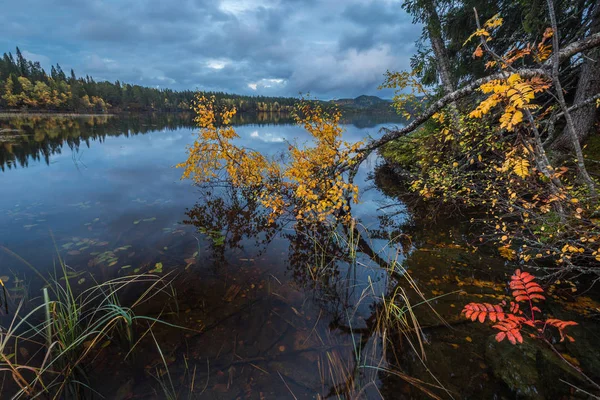 Jonsvatnet Gölü, orta Norveç kıyıları sonbahar renklerle. Trondheim yakınındaki rekreasyon alanı. Fantastik temiz su ve sakin akşam.