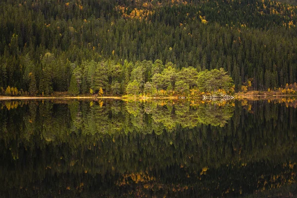 Outono Área Bymarka Trondheim Noruega Belas Reflexões Sobre Lago Skjellbreia — Fotografia de Stock