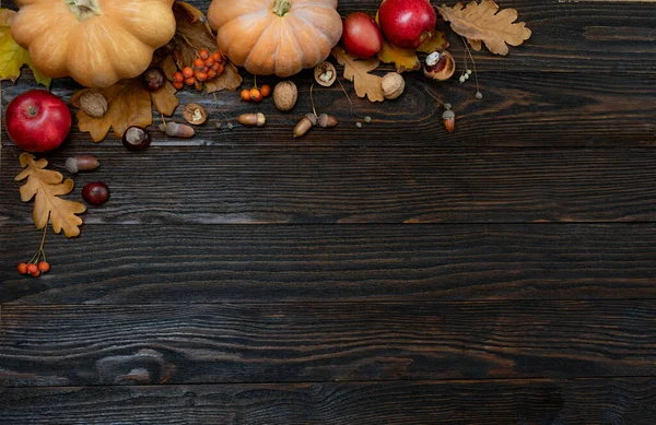 Herbst Obere Kante Aus Bunten Kürbissen Und Silbernen Trockenen Blättern lizenzfreie Stockbilder