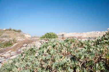 Antik tarihi Malta Adası. Ortaçağdan kalma eski şehir. Parklar, bitkiler ve çiçekler. Eski Şehir.