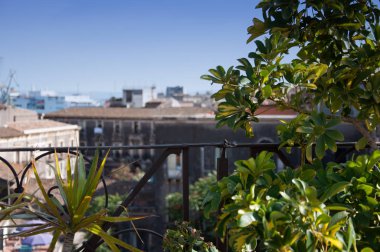 Catania, Sicilya. Şehir etrafında yürür. Güvercinler Çeşme