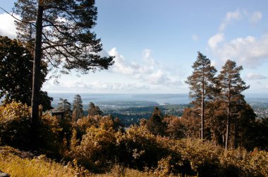 Norveç fiyortları. Güzel görünümler. Güzellik, sessizlik ve huzur