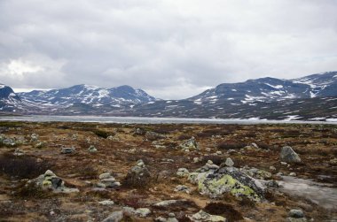 Norveç fiyortları. Güzel görünümler. Sessizlik ve huzur