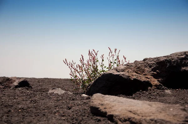 Landscapes Etna Volcano Trip Center Danger Ash Lava — Stock Photo, Image