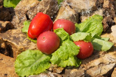 Spor ve diyet. Sebze ve taze su. Sağlıklı beslenme
